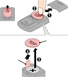 cateye padrone wheel setting