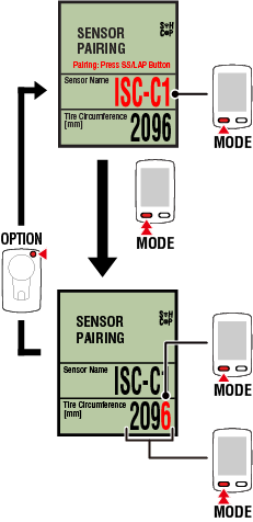 setting cateye padrone